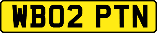 WB02PTN