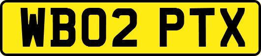 WB02PTX