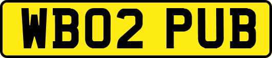 WB02PUB