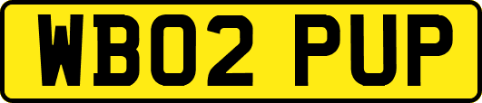 WB02PUP