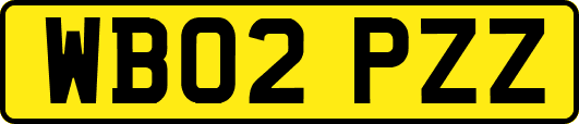 WB02PZZ