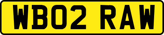 WB02RAW