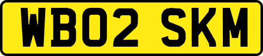 WB02SKM