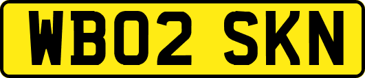 WB02SKN