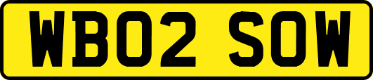 WB02SOW