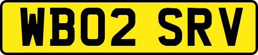 WB02SRV
