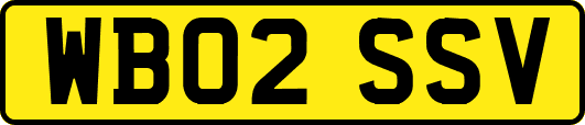 WB02SSV