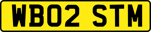 WB02STM