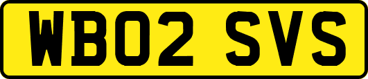 WB02SVS
