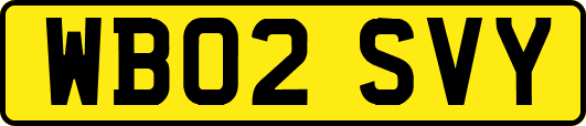WB02SVY