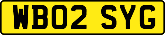 WB02SYG