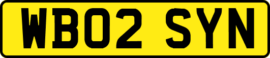 WB02SYN