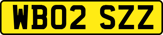 WB02SZZ