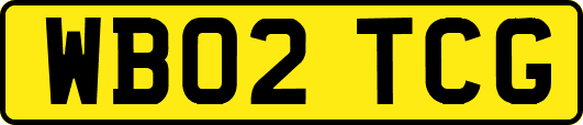 WB02TCG