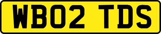 WB02TDS