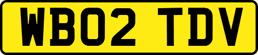 WB02TDV