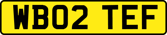 WB02TEF