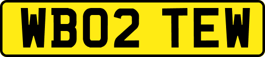 WB02TEW