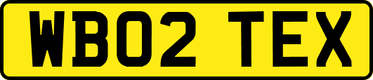 WB02TEX