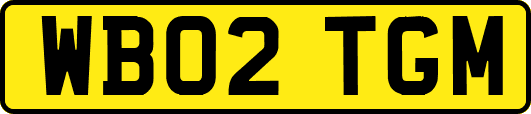 WB02TGM