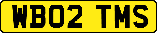 WB02TMS