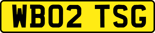 WB02TSG