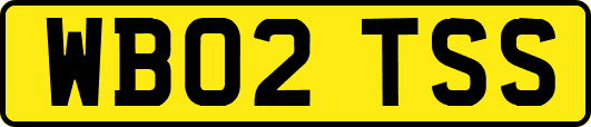 WB02TSS