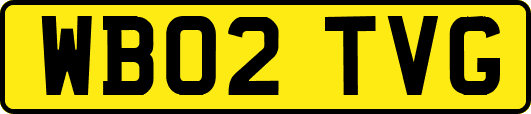 WB02TVG