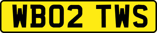 WB02TWS