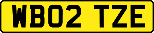 WB02TZE
