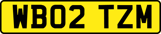 WB02TZM