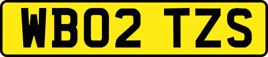 WB02TZS