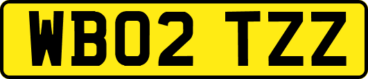 WB02TZZ