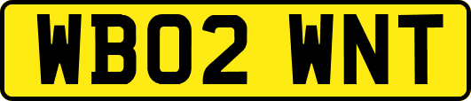 WB02WNT
