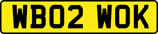 WB02WOK