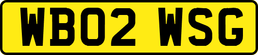 WB02WSG