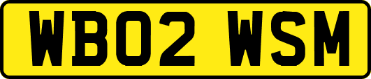 WB02WSM
