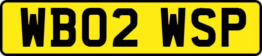 WB02WSP