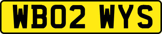 WB02WYS