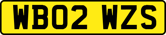 WB02WZS