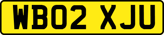WB02XJU