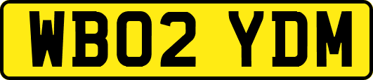 WB02YDM