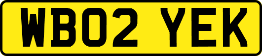 WB02YEK