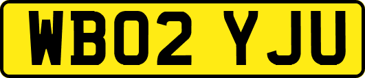 WB02YJU