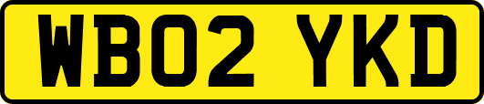 WB02YKD