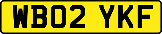 WB02YKF