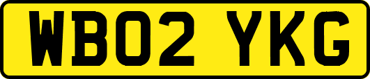 WB02YKG