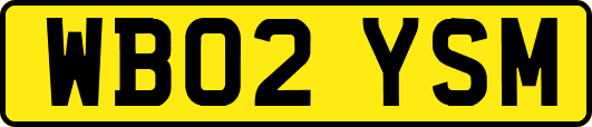 WB02YSM