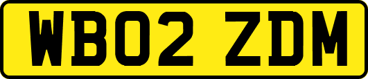 WB02ZDM
