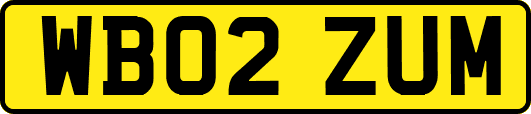 WB02ZUM